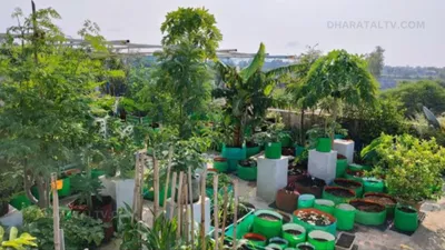 rooftop gardening  घर की छत पर फार्मिंग करने पर सरकार देगी 7500 रुपए  जाने आवेदन करने का प्रॉसेस