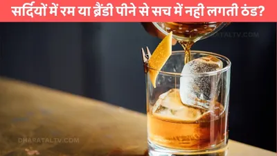 brandy in winters  सर्दियों में रम या ब्रैंडी पीने से सच में नही लगती ठंड  जाने क्या है सच्चाई