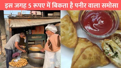 samosa 5 rupees  इस जगह 5 रूपए में बिकता है पनीर वाला समोसा  हर रोज की कमाई सुनकर तो लगेगा झटका