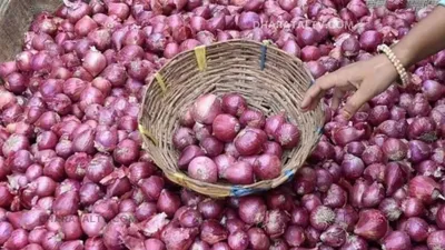 onion price today  प्याज की बढ़ती कीमतों पर सरकार ने लिया एक्शन  फिर से सस्ते में मिलेगा प्याज