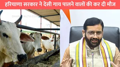 haryana cow subsidy   हरियाणा सरकार ने देसी गाय पालने वालों की कर दी मौज  बैंक खाते में आएगी सब्सिडी