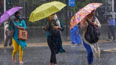 haryana rain alert  हरियाणा के इन जिलों में हो सकती है बारिश  मौसम विभाग ने किसानों को दी ये सलाह