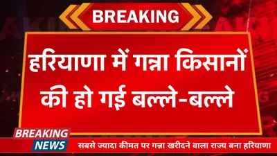 haryana news  हरियाणा में गन्ना किसानों की हो गई बल्ले बल्ले  सबसे ज्यादा कीमत पर गन्ना खरीदने वाला राज्य बना हरियाणा