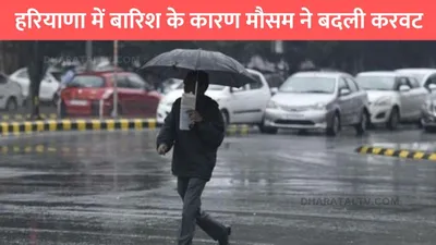 haryana mausam  हरियाणा में बारिश के कारण मौसम ने बदली करवट  इन जिलों में जारी हुआ अलर्ट