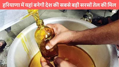 mustard oil mill  हरियाणा में यहां बनेगी देश की सबसे बड़ी सरसों तेल की मिल  सीएम सैनी ने किया ऐलान