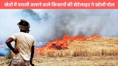 stubble burning  खेतों में पराली जलाने वाले किसानों की सेटेलाइट ने खोली पोल  अब होगी ये कार्रवाई