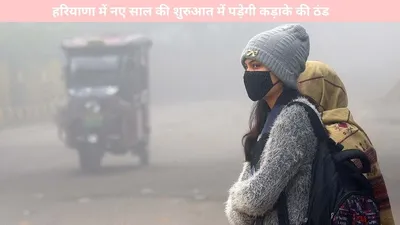 haryana weather   हरियाणा में नए साल की शुरुआत में पड़ेगी कड़ाके की ठंड  इन जिलों में होगा घना कोहरा