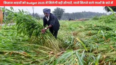 kisan news  किसान भाइयों को budget 2025 में मिलेगी बड़ी सौगातें  जानें मिलने वाले लाभों के बारे में