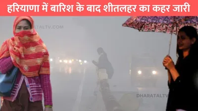 haryana weather  हरियाणा में बारिश के बाद शीतलहर का कहर जारी  जाने आने वाले दिनों में मौसम का हाल