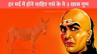 chanakya niti  हर मर्द में होने चाहिए गधे के ये 3 खास गुण  बीवी रहेगी एकदम संतुष्ट