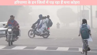 weather   हरियाणा के इन जिलों में पड़ रहा हैं घना कोहरा  पारा पहुंचा माइनस 15