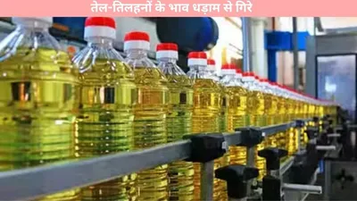 latest prices of oilseeds  तेल तिलहनों के भाव धड़ाम से गिरे  चेक करें ताजा कीमतें