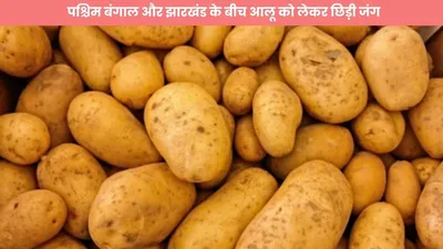 potato price  पश्चिम बंगाल और झारखंड के बीच आलू को लेकर छिड़ी जंग  विवाद ने कीमतों में ला दिया इतने रुपये का उछाल