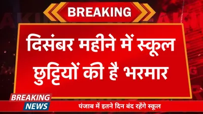 school holiday  दिसंबर महीने में स्कूल छुट्टियों की है भरमार  पंजाब में इतने दिन बंद रहेंगे स्कूल