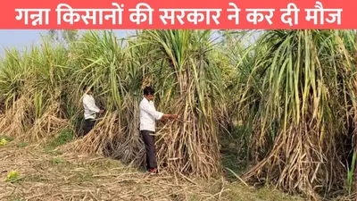 sugarcane prices hike  गन्ना किसानों की सरकार ने कर दी मौज  प्रति क्विंटल कीमतों में 20 रूपए की बढ़ोतरी