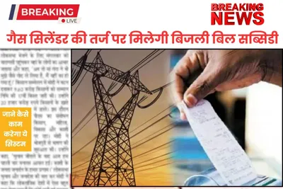 electricity subsidy  गैस सिलेंडर की तर्ज पर मिलेगी बिजली बिल सब्सिडी  जाने कैसे काम करेगा ये सिस्टम