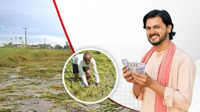 crop loss compensation  किसानों के खाते में आएगा 1419 करोड़ का मुआवजा  जाने पूरी डिटेल