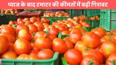 tomato price  प्याज के बाद टमाटर की कीमतों में बढ़ी गिरावट  खरीदारी करने वालों की हुई मौज