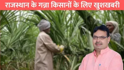 rajasthan news  राजस्थान के गन्ना किसानों के लिए खुशखबरी  सरकार ने गन्ने की कीमतों में की बढ़ोतरी