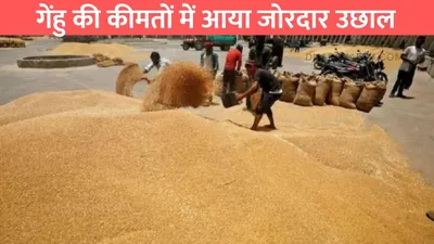 wheat price hike  गेंहु की कीमतों में आया जोरदार उछाल  आटे की कीमत बढ़ने से जनता का हाल बेहाल