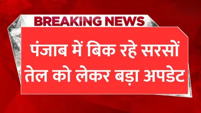 mustard oil  पंजाब में बिक रहे सरसों तेल को लेकर बड़ा अपडेट  विभाग ने की बड़ी कार्रवाई